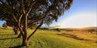 Cowra Prisoner of War Camp Site 